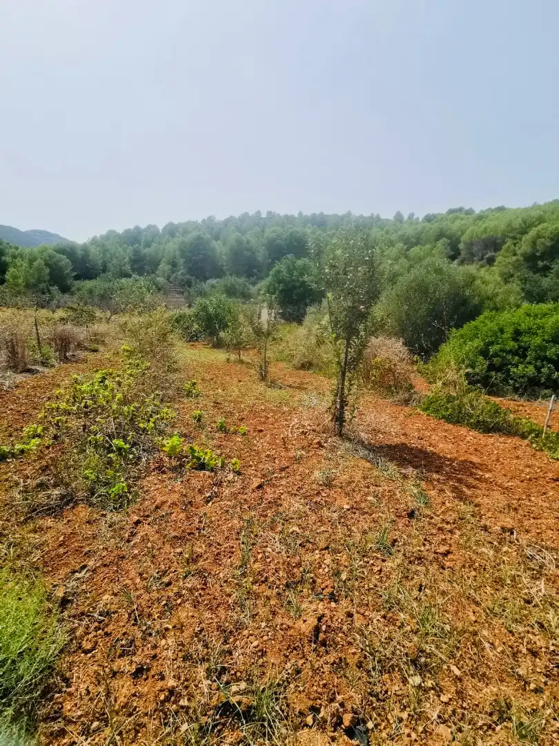 Villa avec jardin à vendre à Xaló, imagen 4