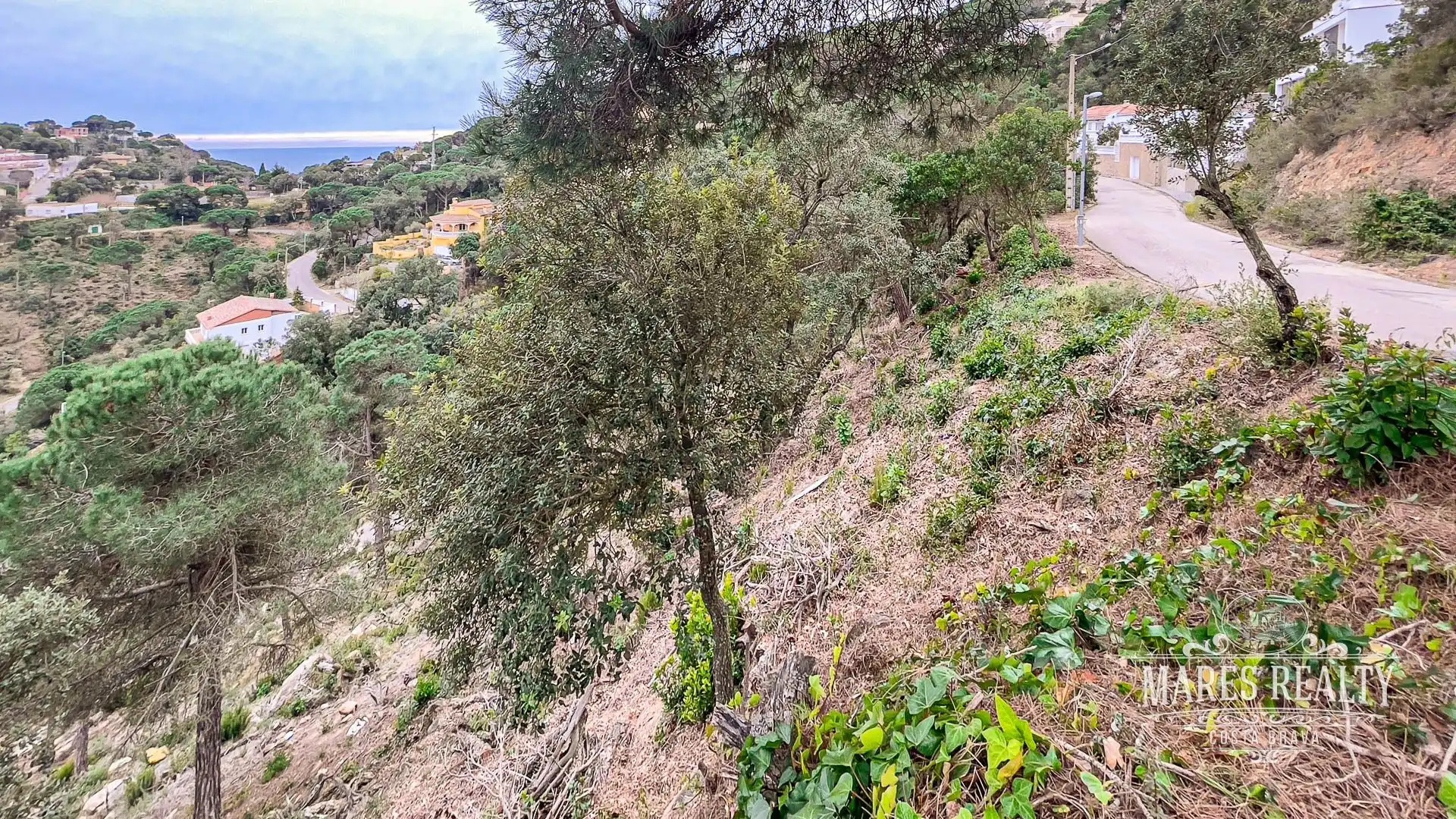 Terrenos y solares en venta en Serra Brava, imagen 11