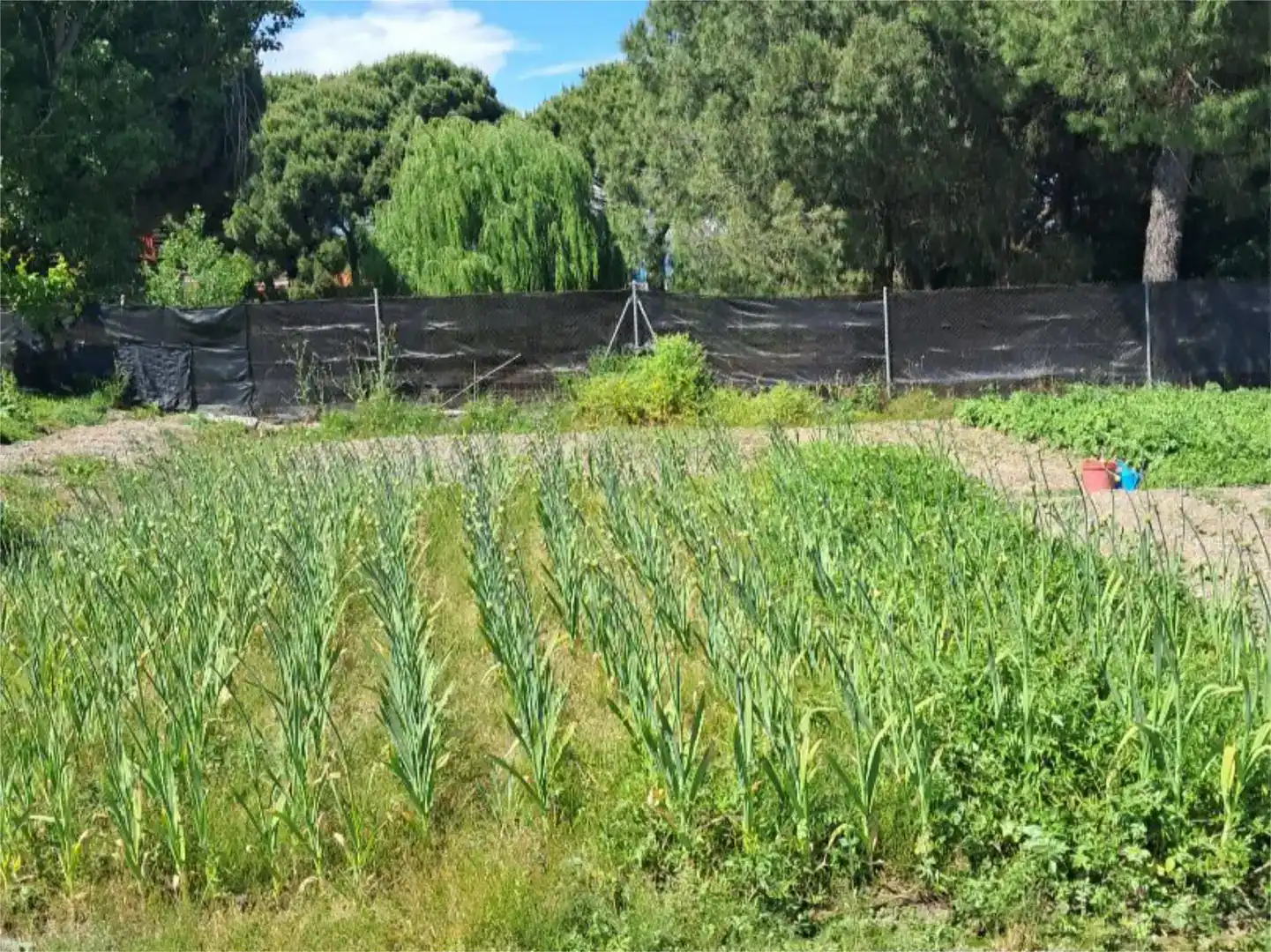 Pis en venda en Navalmoral de la Mata amb Aire condicionat, Jardí privat i Traster