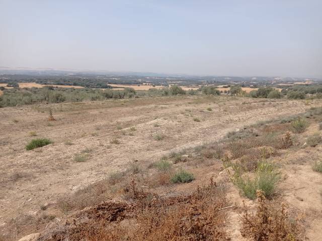 Terreno en Venta en Cubells