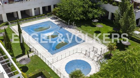 Foto 5 de Piso en venta en Palomas, Madrid Capital