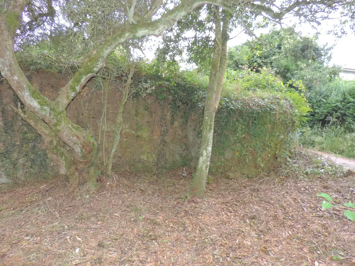 Casa o chalet en venta en A Laracha   con Jardín privado
