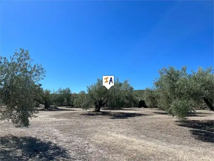 Country homes for sale in Martos