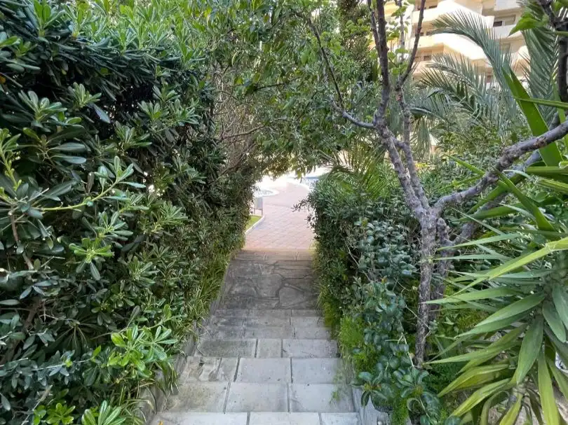 Apartamento con piscina en venta en Carles Buïgas 38, imagen 30