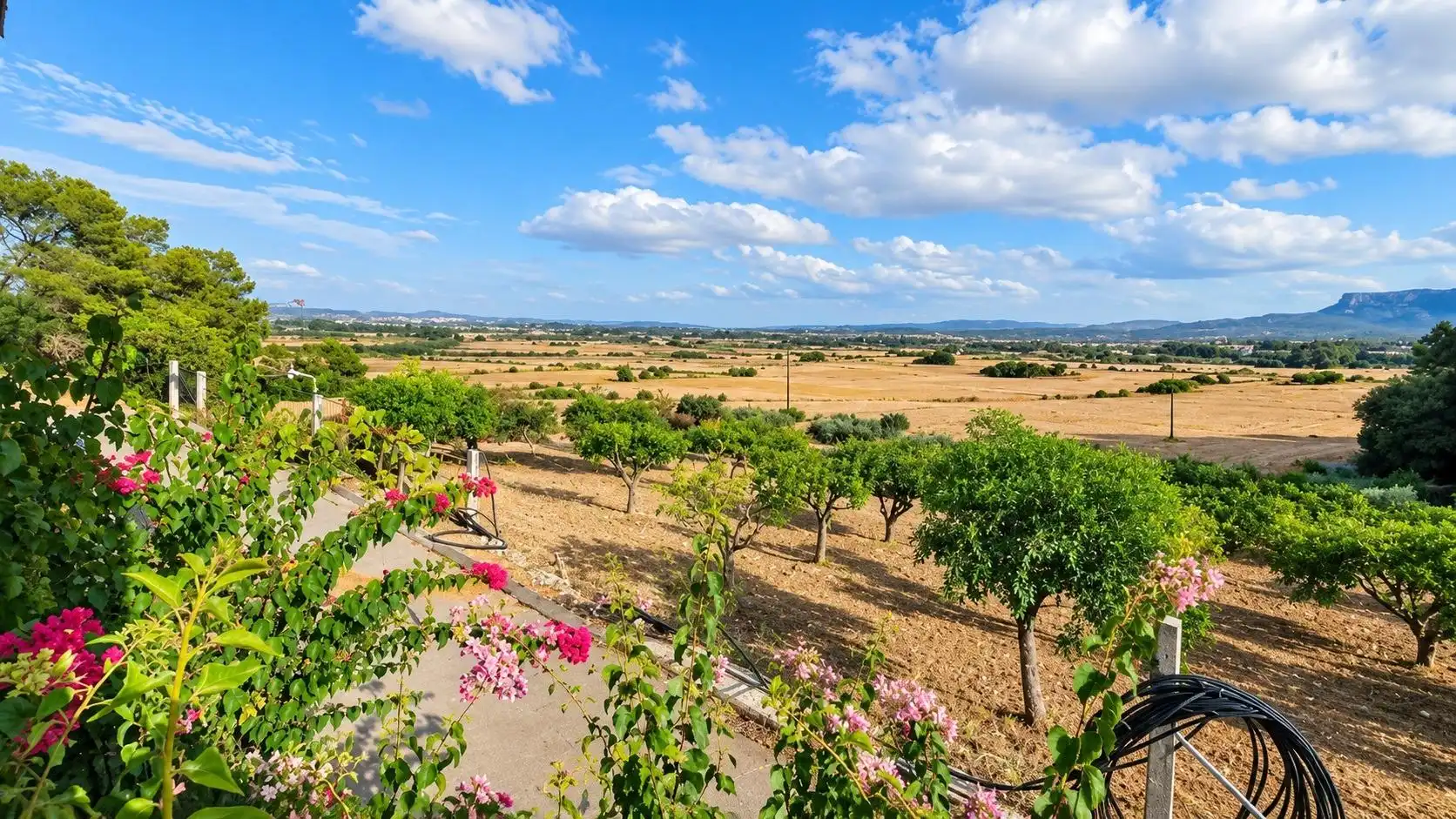 Casa rústica en venta en Algaida, imagen 23
