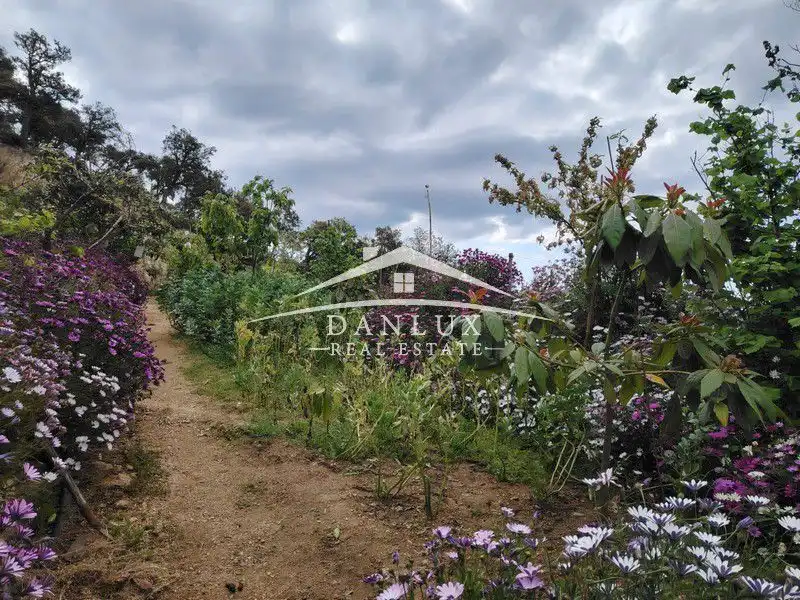 Casa o xalet en venda a Aiguaviva Parc
