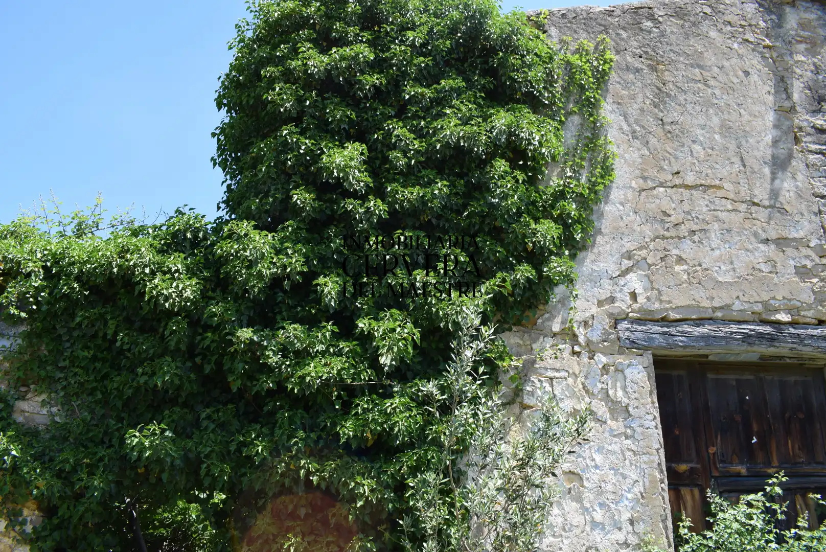 Jardín de Finca rústica en venta en Xert