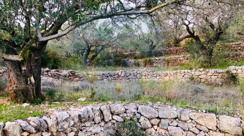 Foto 4 de Casa o xalet en venda a N/a, Bítem, Tortosa