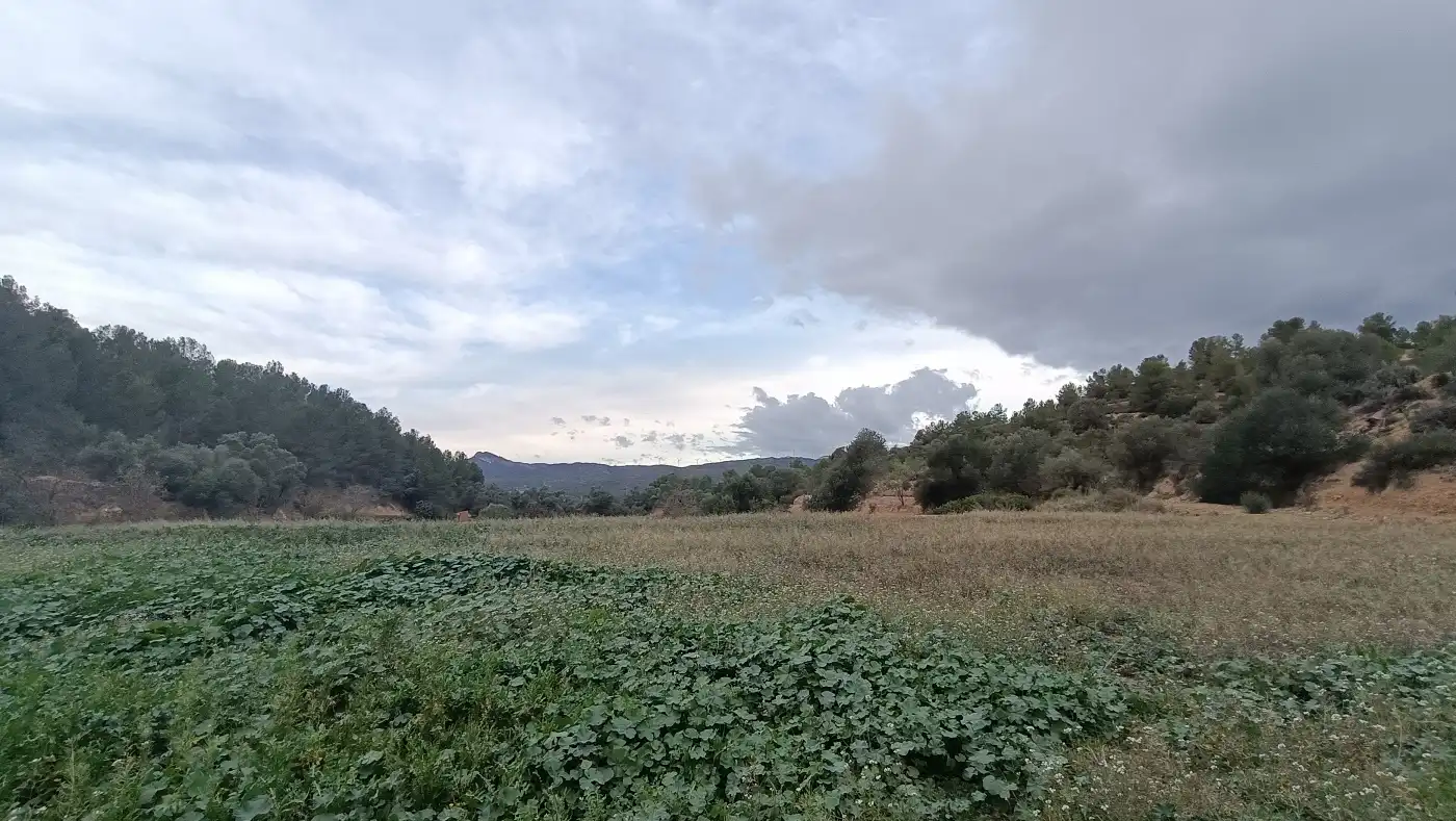 Terreno en venta en Móra la Nova