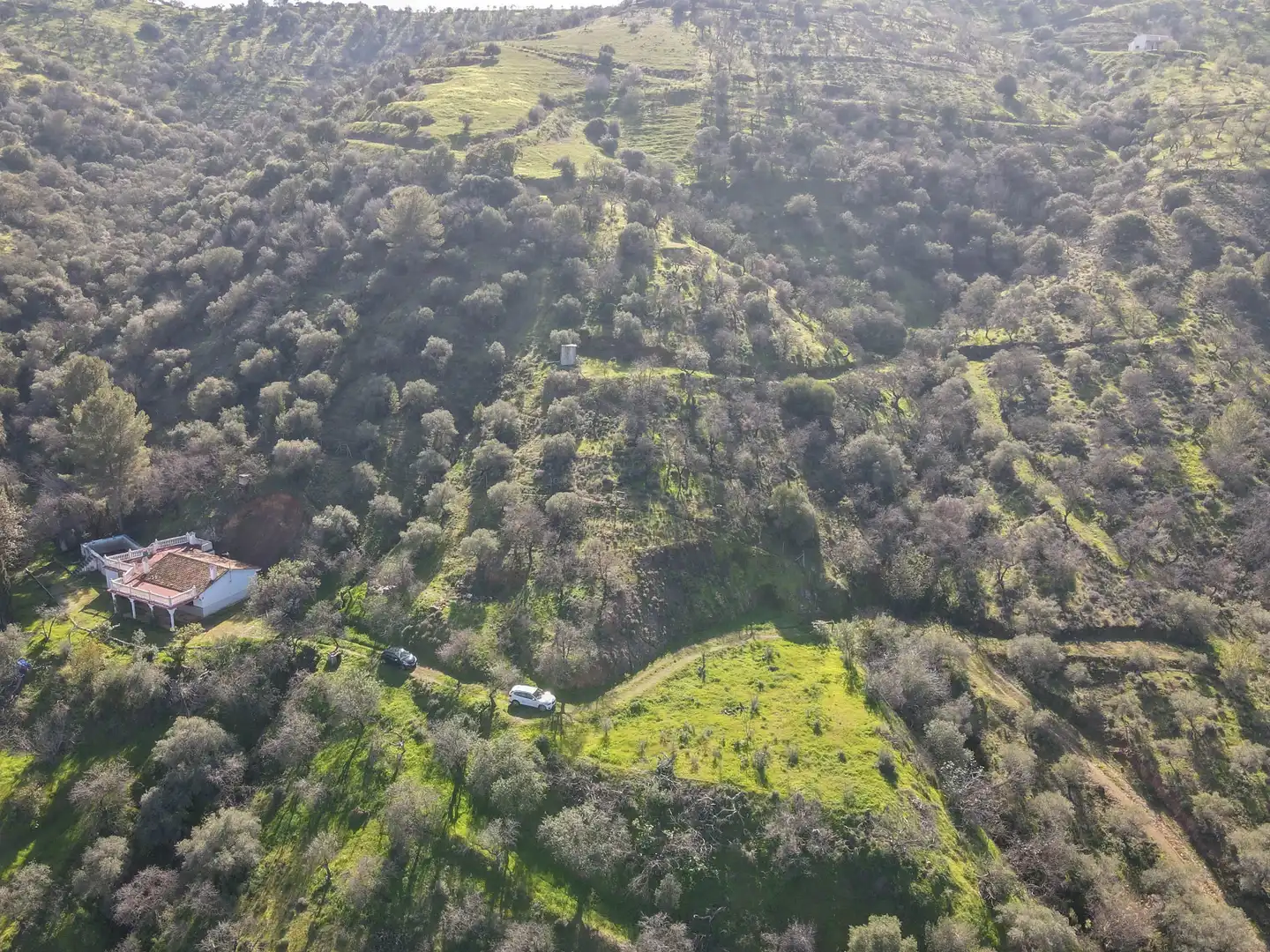 Casa con jardín en venta en Avenida de Andalucía, imagen 22