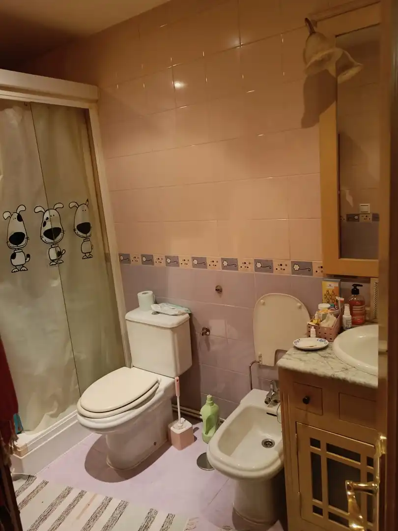 Baño de Casa o chalet en venta en San Román de los Montes con Aire acondicionado y Calefacción