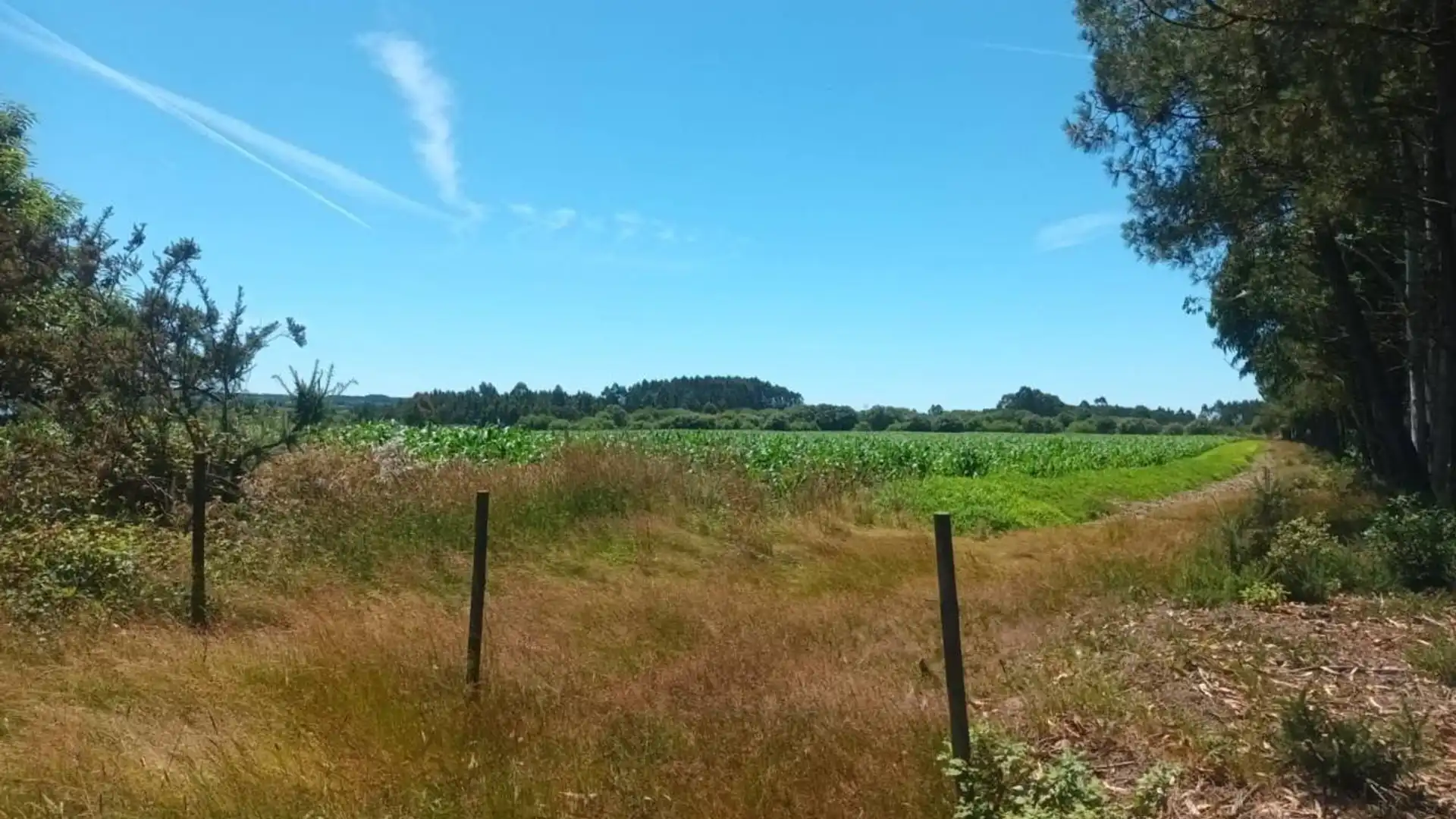 Terreno en venta en Seselle, 15386