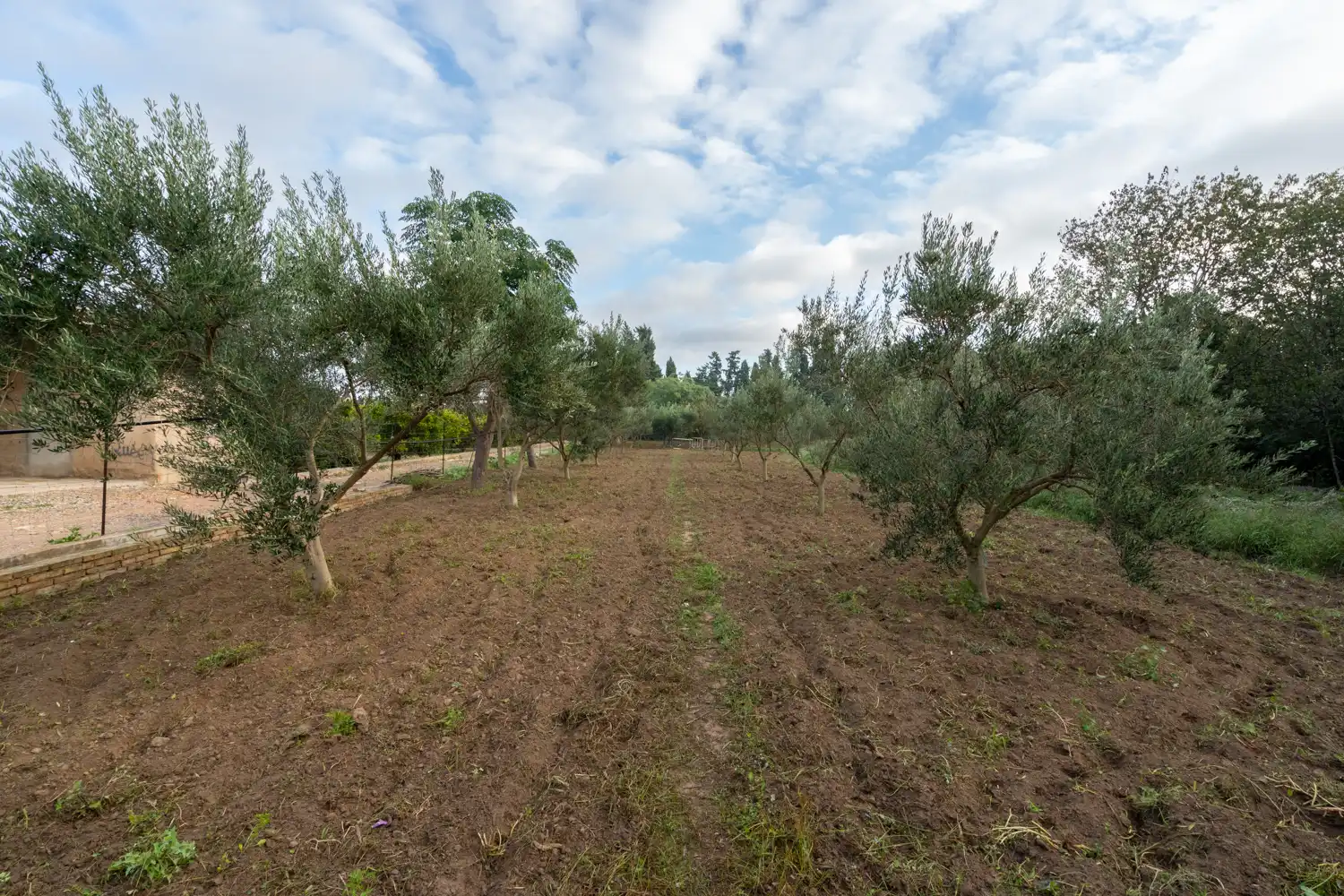 Terreny rústic en venda a Camí del Lloron de Tortosa 28, imagen 23