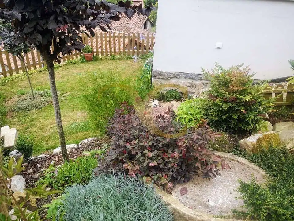 Jardí de Casa o xalet en venda en Cangas de Onís amb Calefacció, Jardí privat i Terrassa