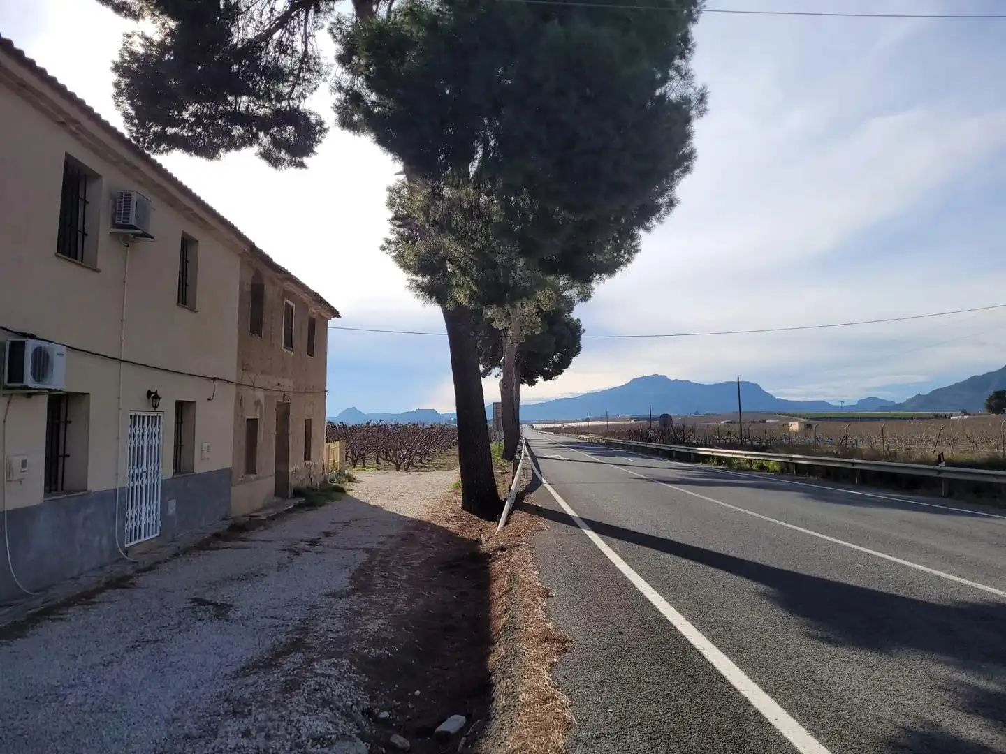 Vista exterior de Casa o chalet en venta en Blanca con Jardín privado