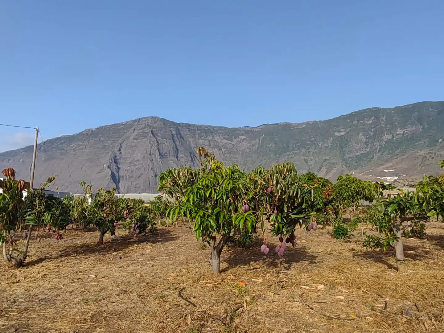 Vista exterior de Finca rústica en venta en Frontera con Terraza, Amueblado y Horno