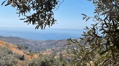 Photo 4 of Land for sale in Diseminado R5, 148, Pinares de San Antón, Málaga