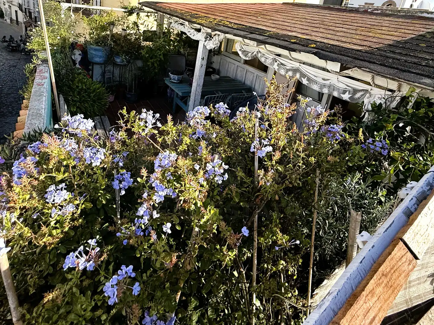 Àtic en venda a Tarifa ciudad, imagen 22