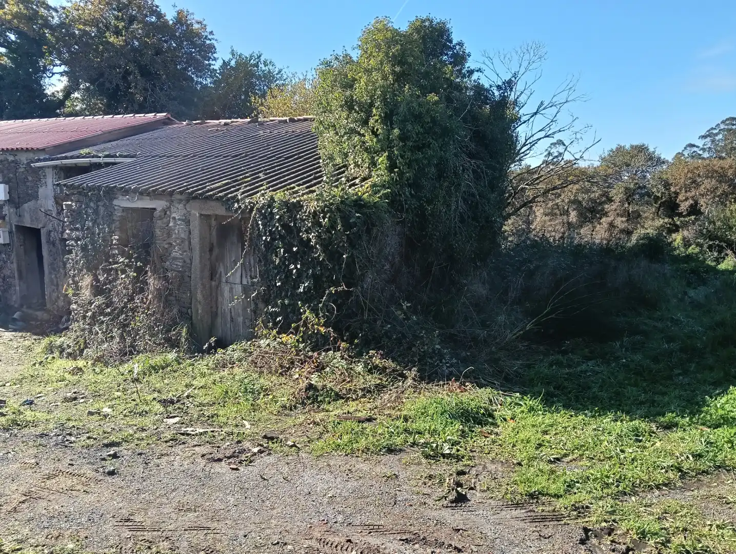 Adossat amb jardí en venda a Cesuras, imagen 2