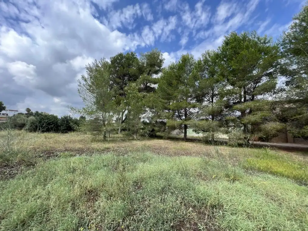 Terreny residencial en venda a Alberic, imagen 44