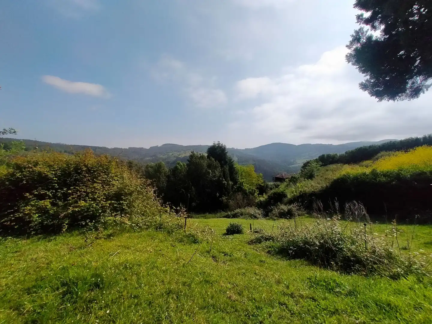 Finca rústica en venda en Cudillero amb Jardí privat, Terrassa i Traster