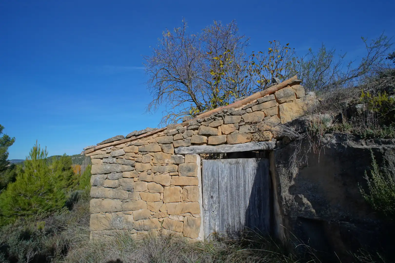Terreni e lotti in vendita a Valderrobres