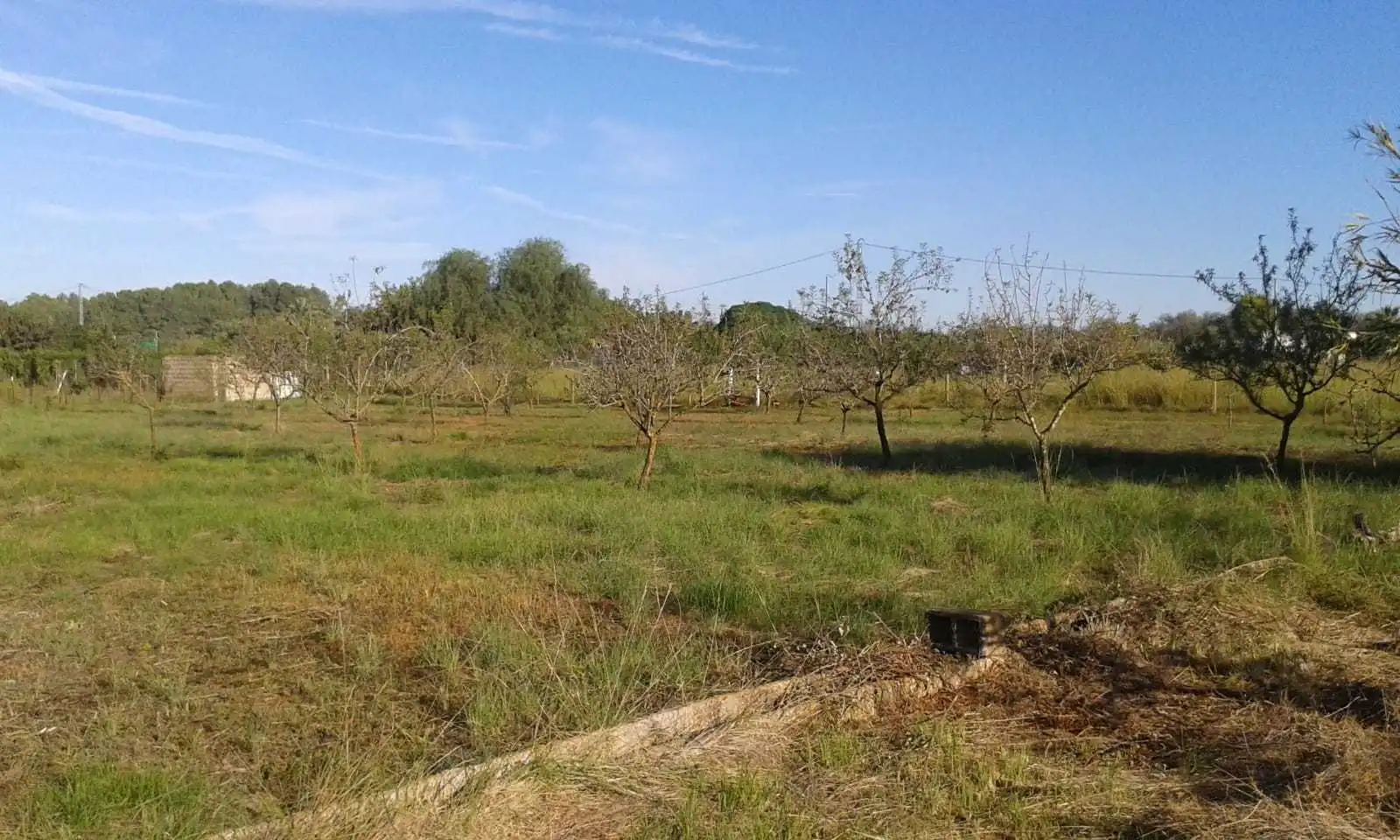 Terreno residencial en venta en La Sella, imagen 3