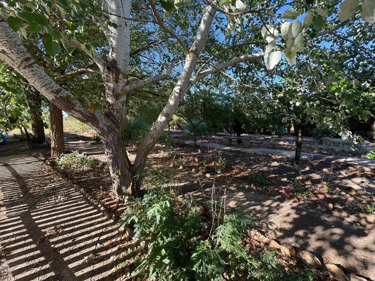 Casa rústica en venda a Valdepeñas, imagen 10