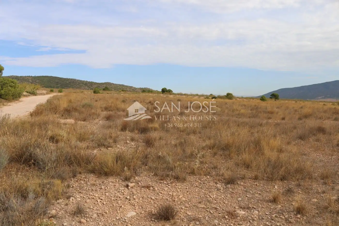 Rustikales Grundstück zum Verkauf in Jumilla, imagen 15