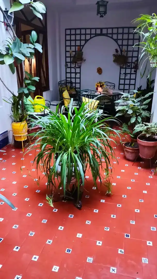 Garden of Ground floor for sale in Enguera  with Balcony