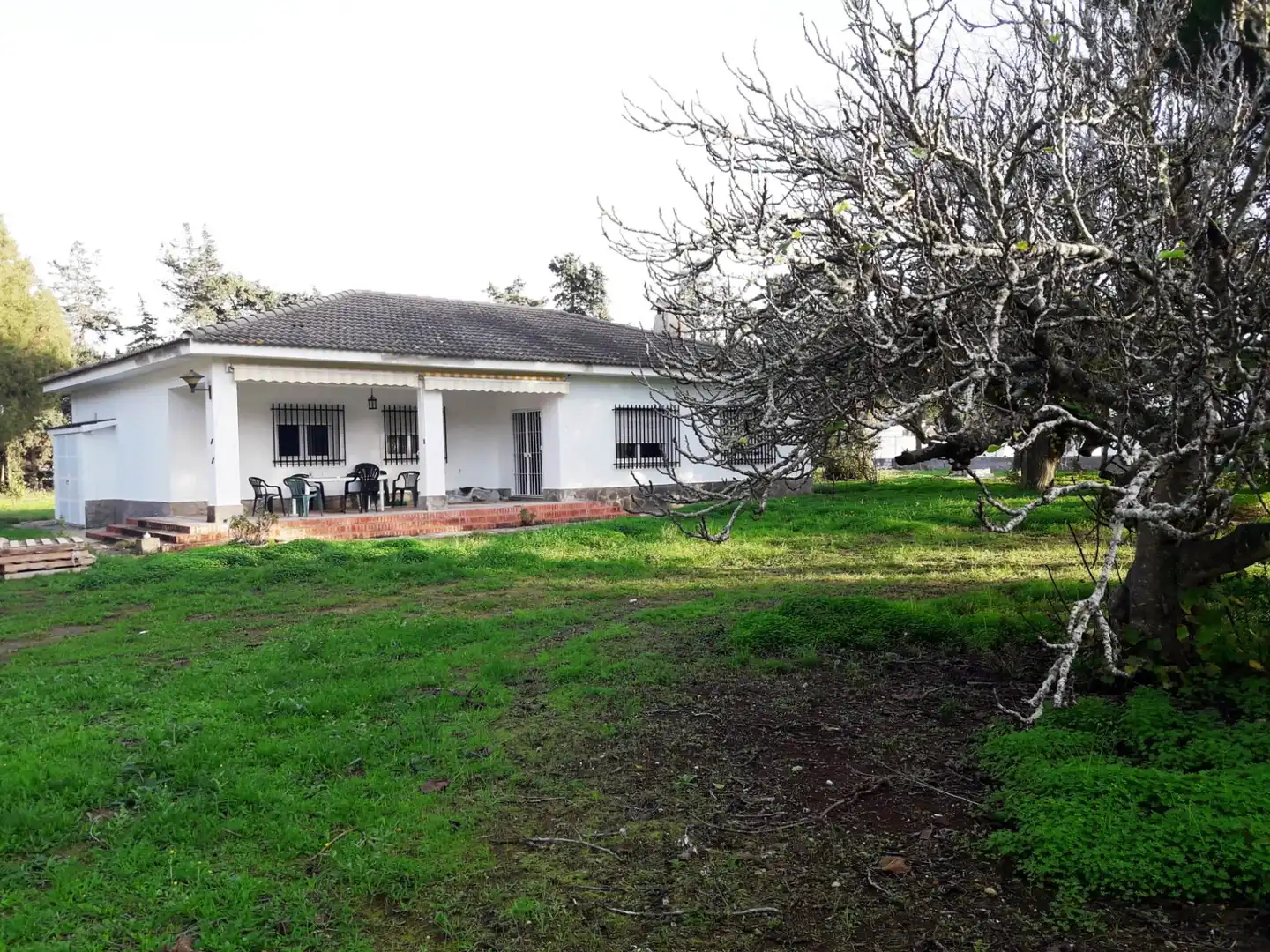 Exterior view of Houses for sale in Chiclana de la Frontera  with Private garden, Terrace and Furnished