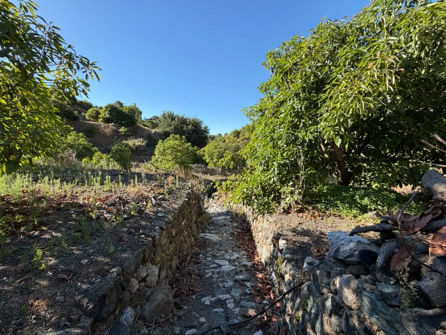 Finca rústica en venta en Yunquera con Jardín privado, Piscina y Amueblado