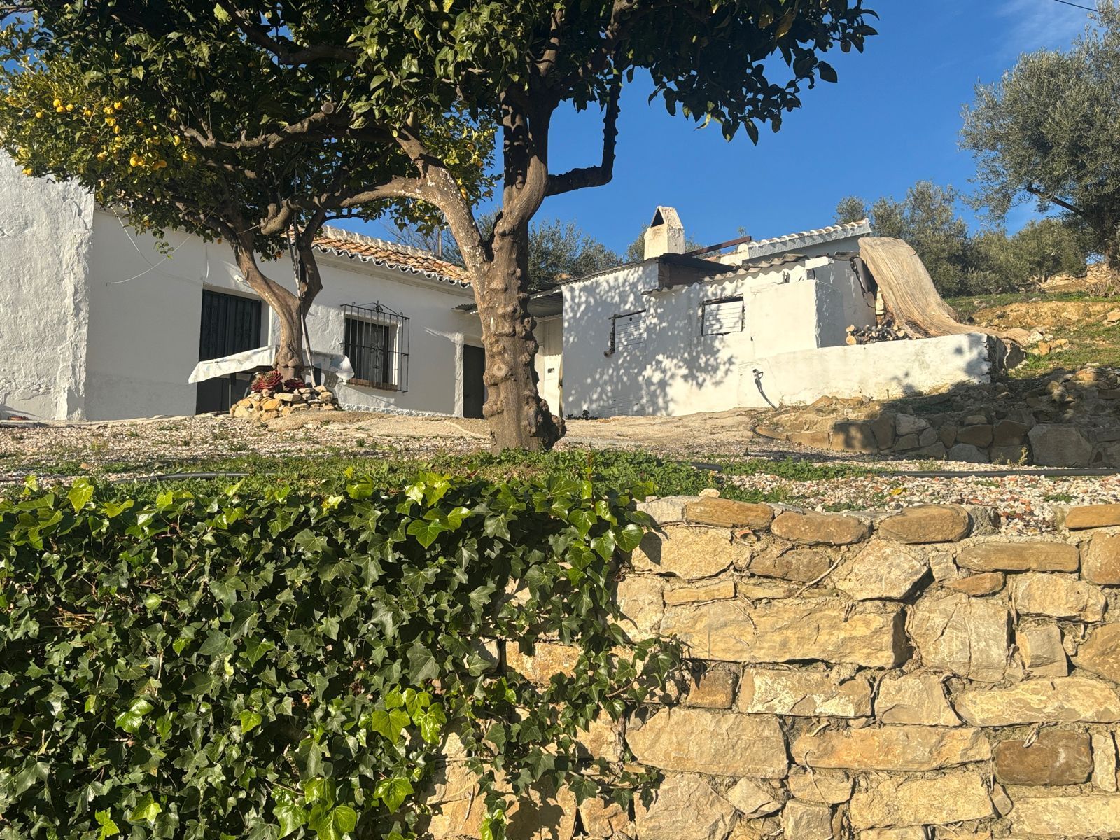 Exterior view of House or chalet for sale in Antequera  with Private garden