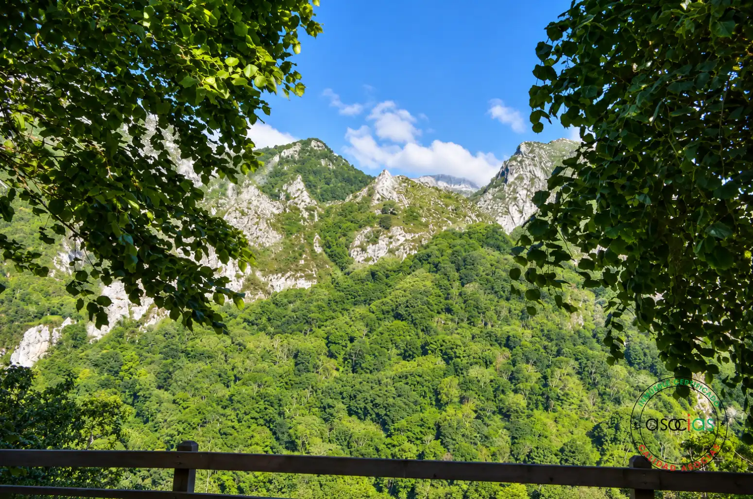 Maison avec terrasse à vendre à Ponga - San Ignacio /  Ponga 101, imagen 27