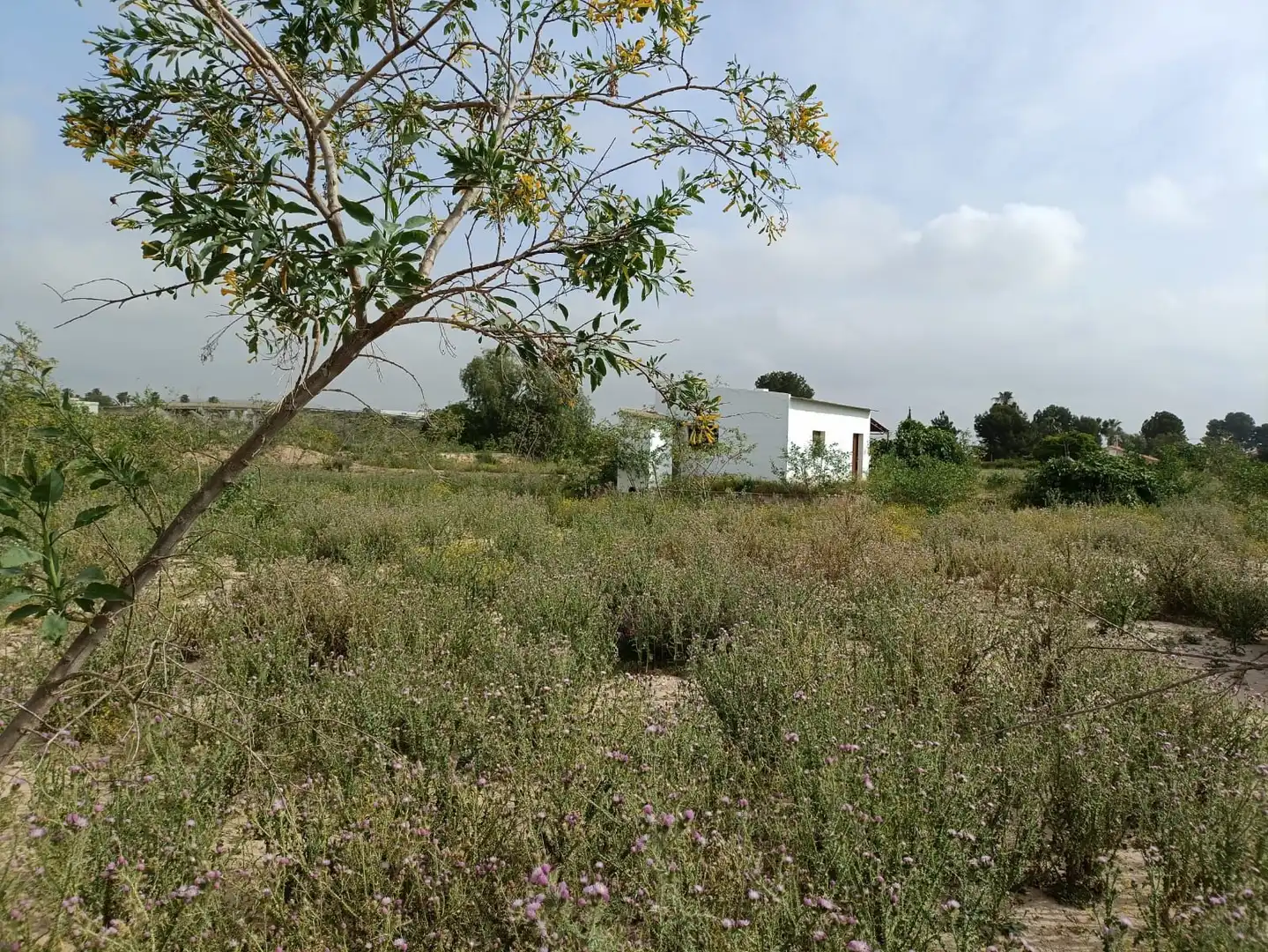 Residential for sale in Librilla