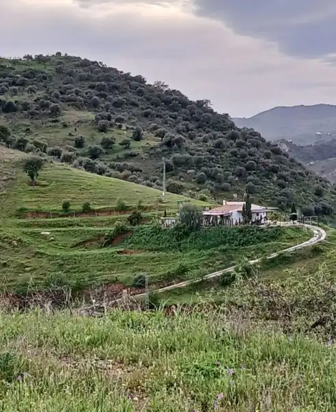 Finca rústica en venda a N/A, -1, Almogía