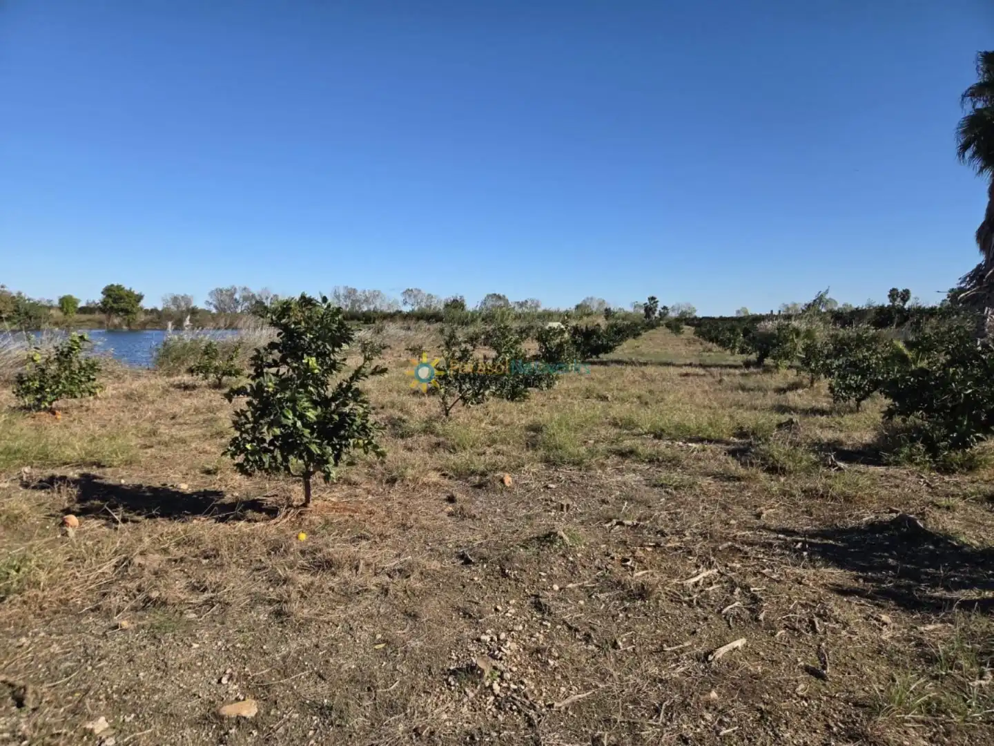 Finca rústica en venta en Xeraco con Jardín privado, Terraza y Trastero