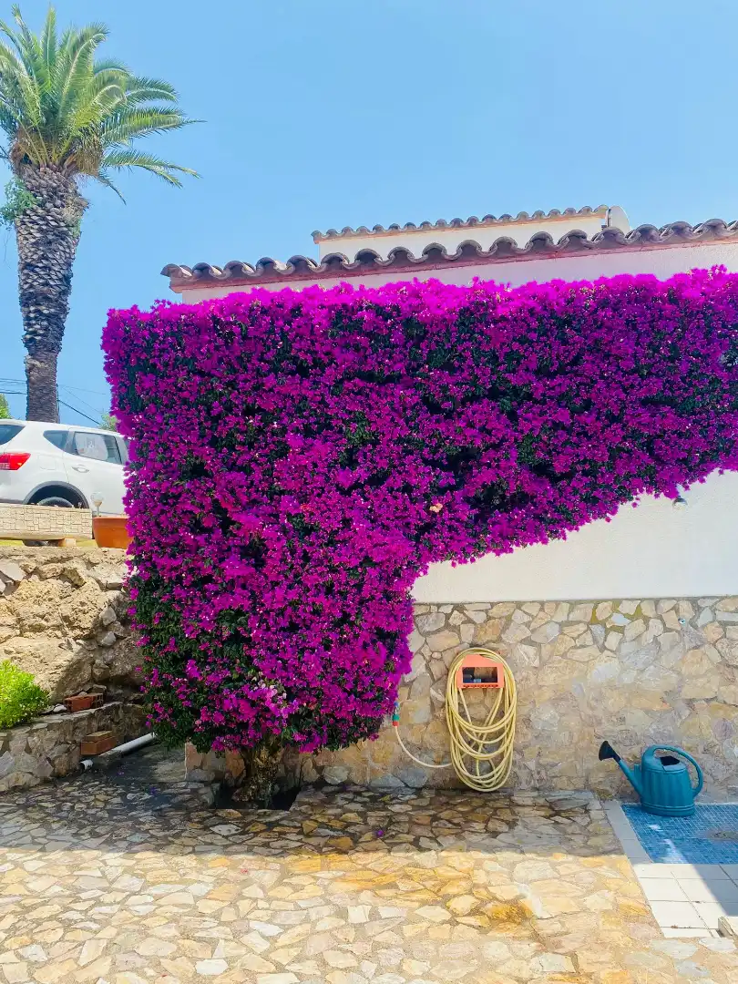 Jardín de Casa o chalet en venta en L'Estartit con Aire acondicionado, Calefacción y Jardín privado