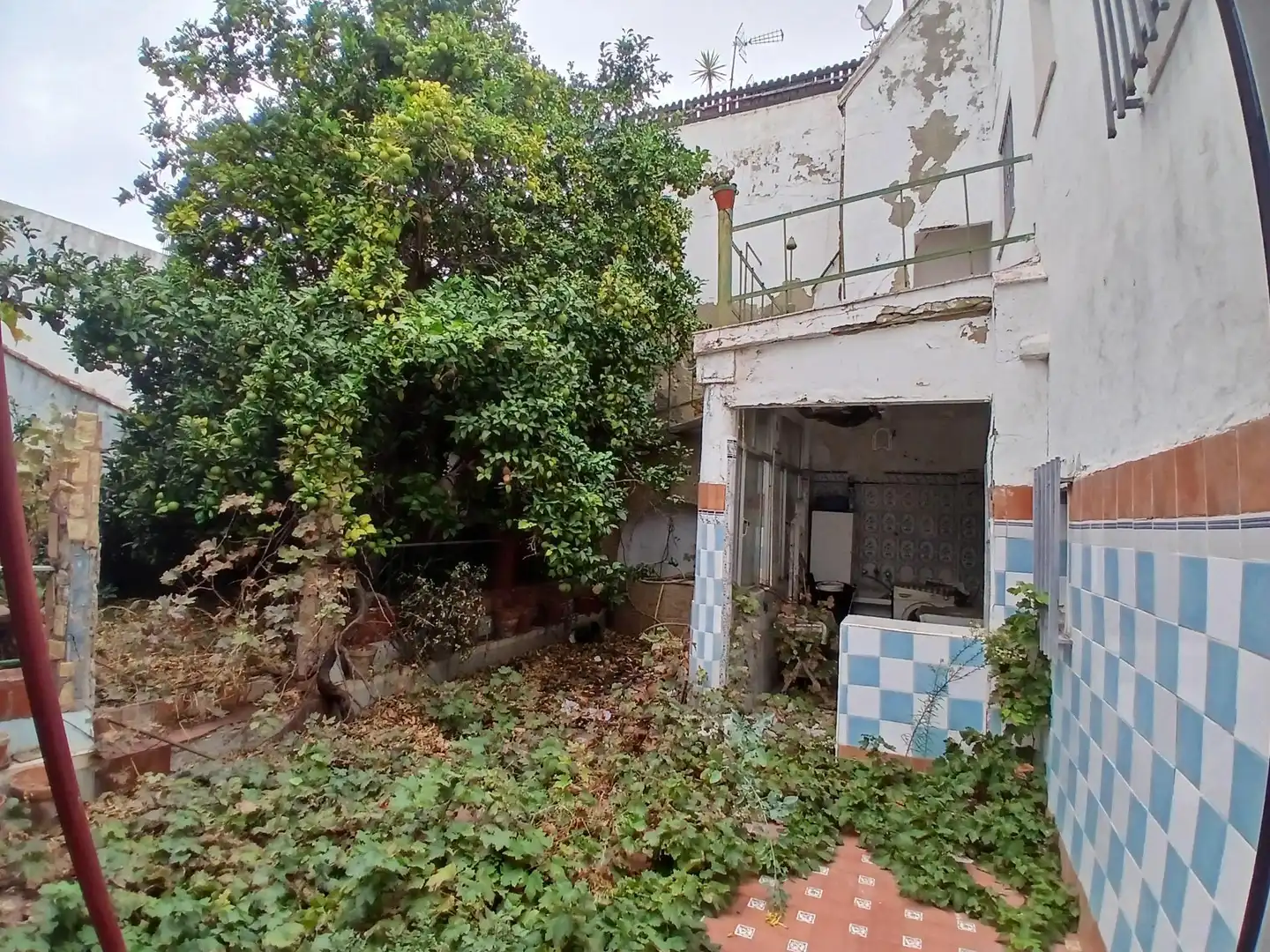 Garden of Houses for sale in Puerto Real