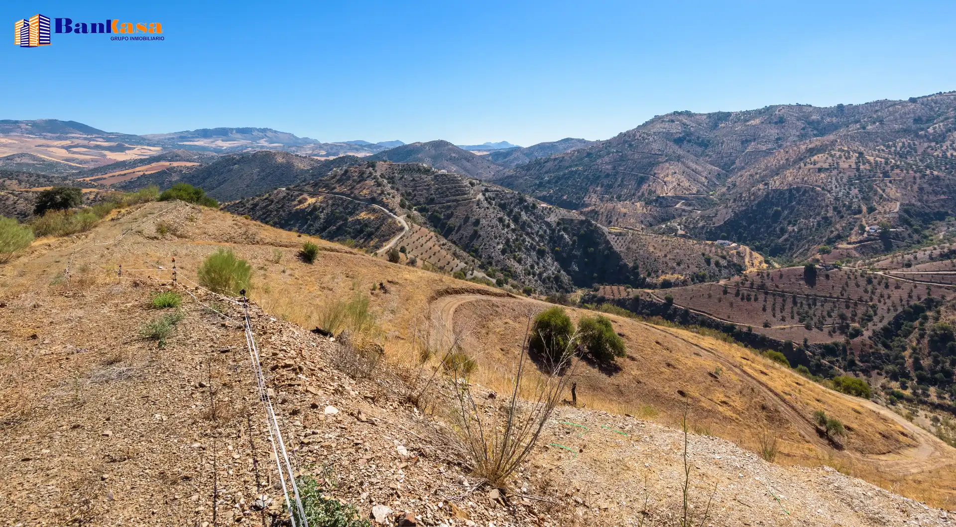Vista exterior de Finca rústica en venta en Álora con Jardín privado y Trastero