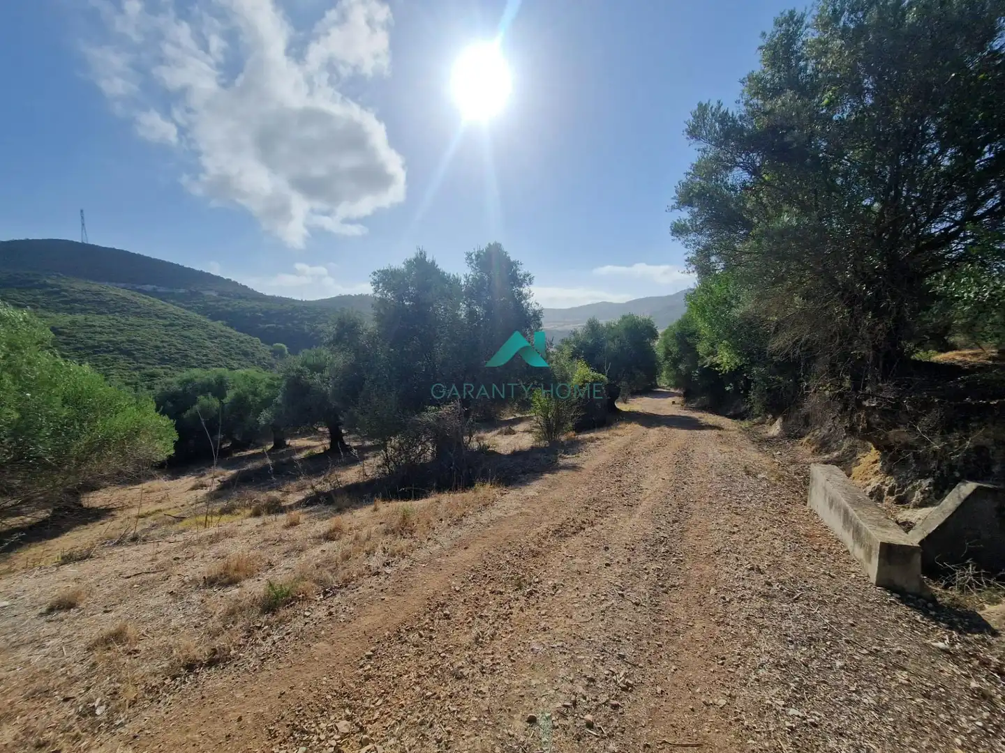 Rural land for sale in San José del Valle, imagen 4
