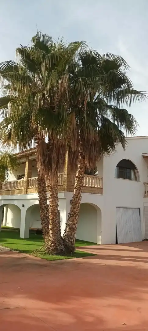 Detached house with terrace for sale in El Secanet - Hacienda del Sol, imagen 26