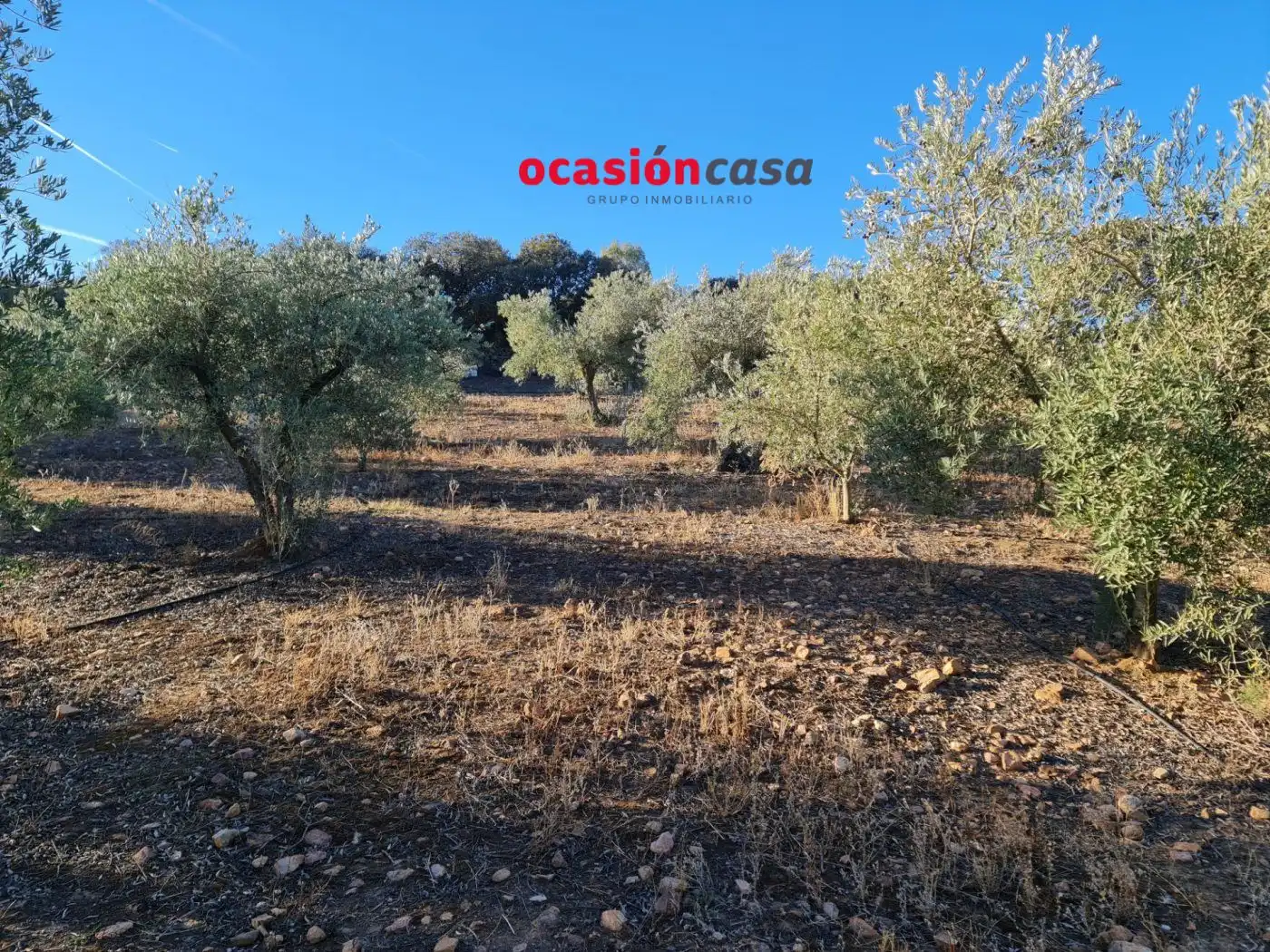 Wohnbaugrundstück zum Verkauf in La Granjuela, imagen 8