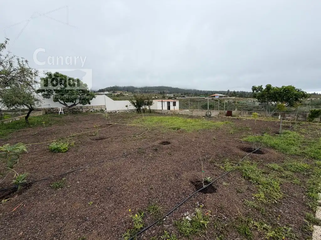 Finca rústica en venda en Adeje amb Aire condicionat, Terrassa i Piscina