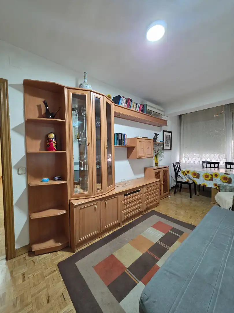 Living room of Flat for rent in Madrid  with Air Conditioner, Heating and Parquet flooring