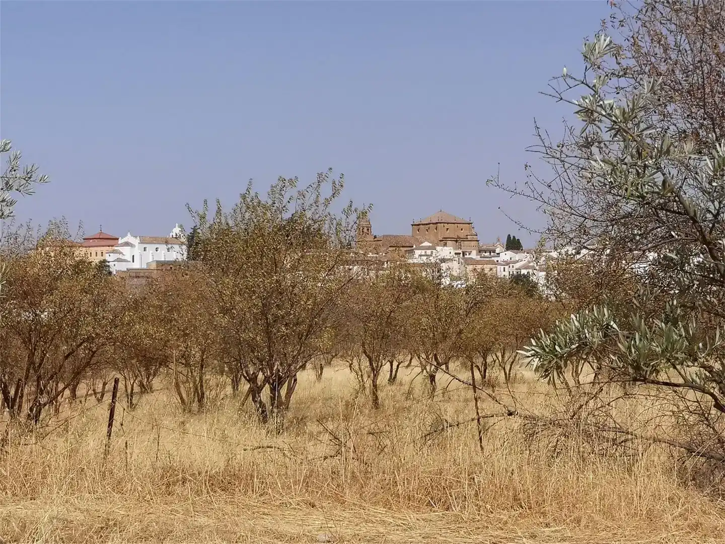 Finca rústica en venda en Ronda