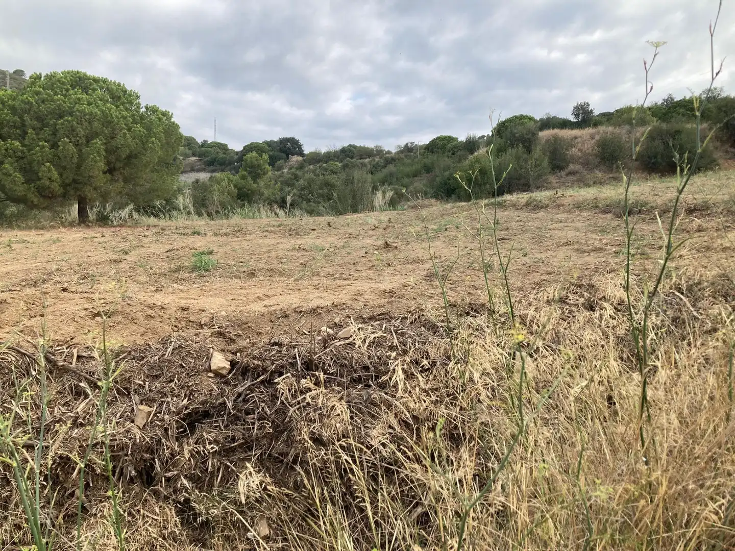 Terreno en venta en Pineda de Mar