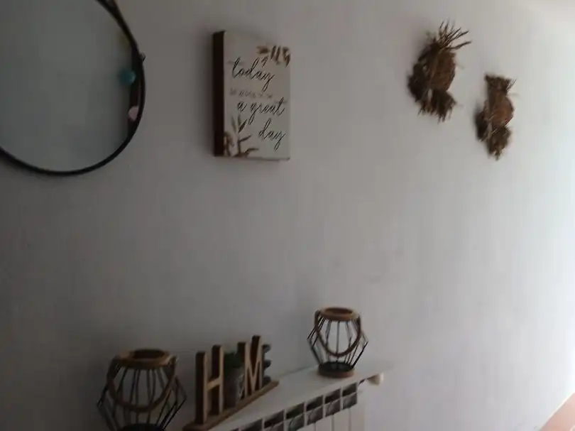 Apartament amb piscina de lloguer a Carretera de Camprodon 1, imagen 7