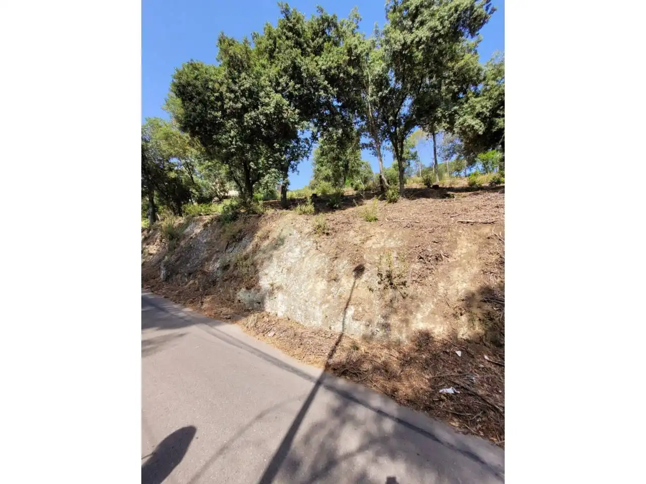 Terreny rústic en venda a El Racó - Sant Feliu del Racó, imagen 8