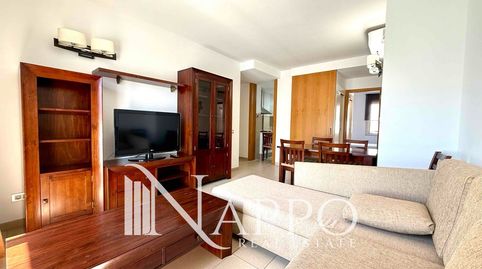 Foto 3 de Habitación en Ricard Akerman, Foners, Palma de Mallorca